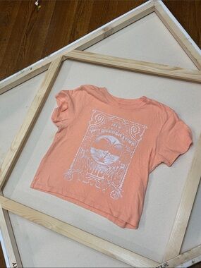 Billabong Juniors Graphic Cropped Tee Shirt Peach Pink M Juniors